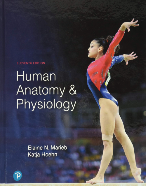 Human Anatomy & Physiology 11th Edition